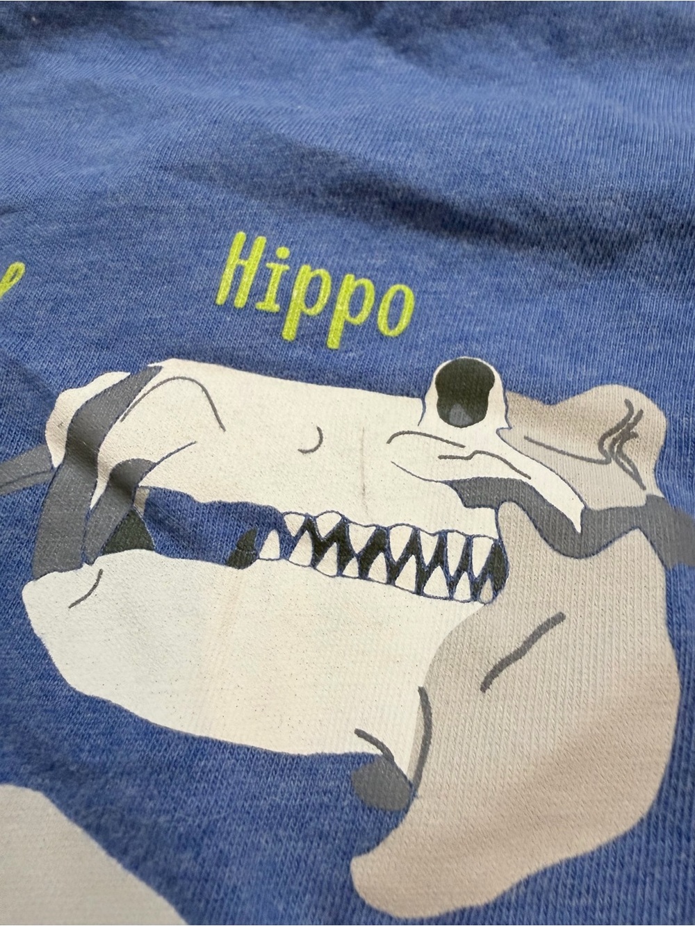Boys Mini Boden Blue fossils skulls vinyl printed longsleeve tee 11 12 - Picture 6 of 6